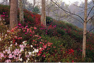 《致命躯壳》Steam褒贬不一 好评率仅65%：为难而难 堆怪之王